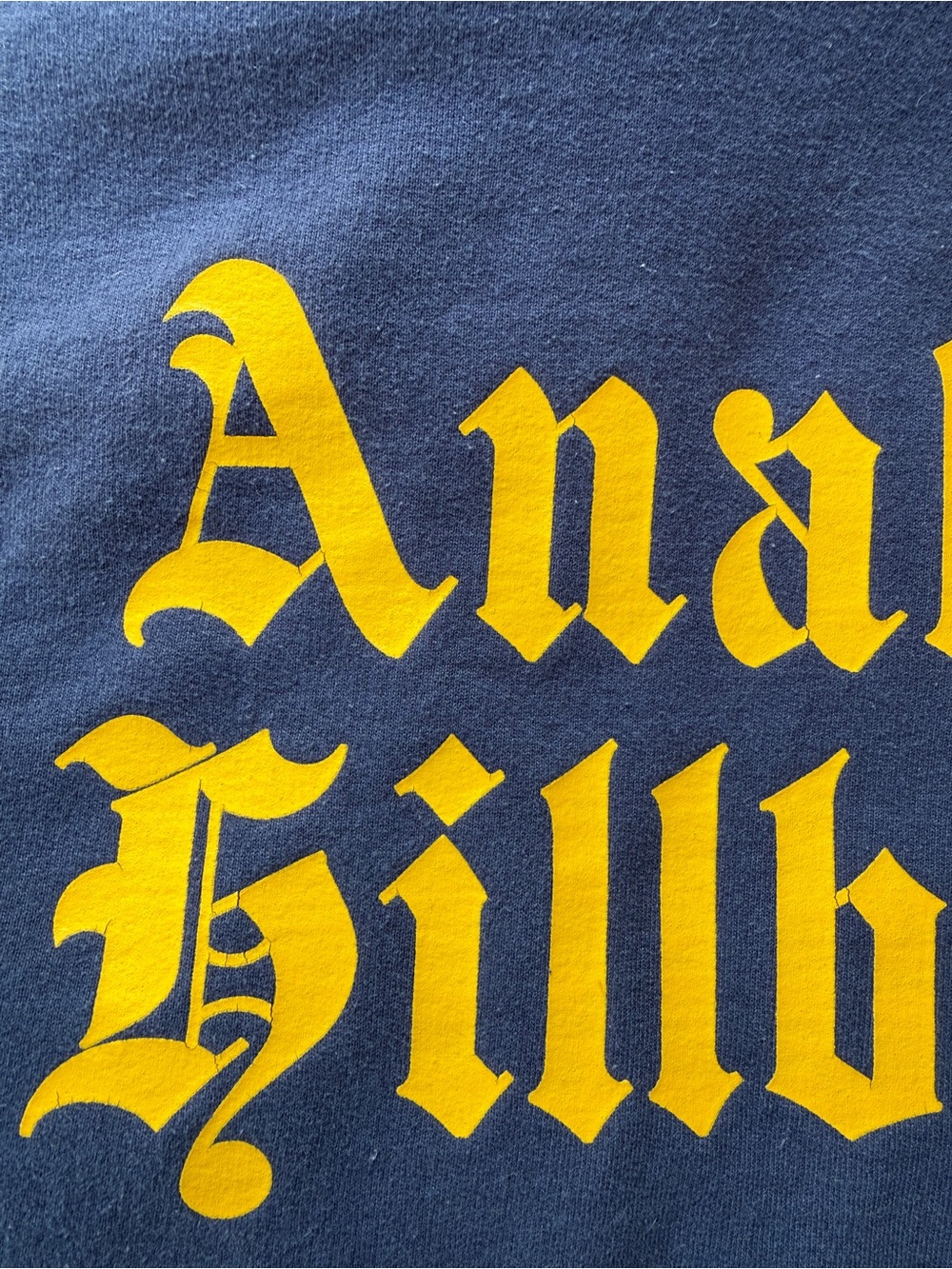Gwen Stefani Anaheim Hillbillies Sweatshirt XXL - Picture 6 of 12